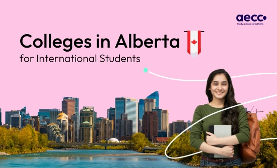 Best Colleges in Alberta for International Students