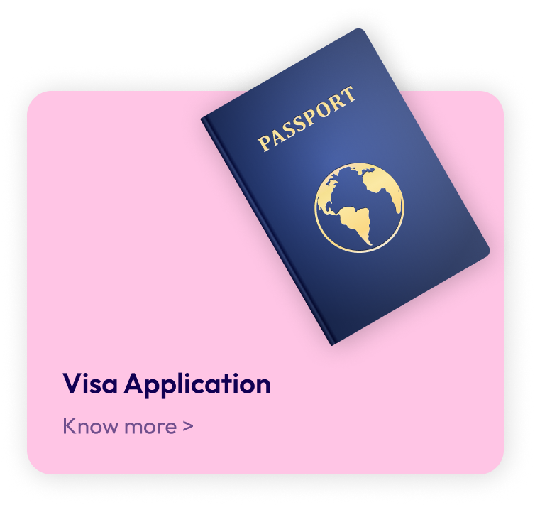 visa application