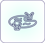 Pokhara