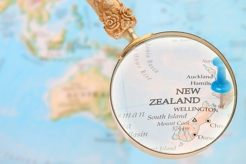 Study in Newzealand