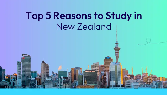 top-5-reasons-to-study-in-new-zealand